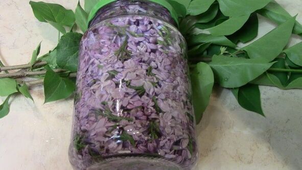 Lilac alcohol tincture for osteochondrosis of the lower back